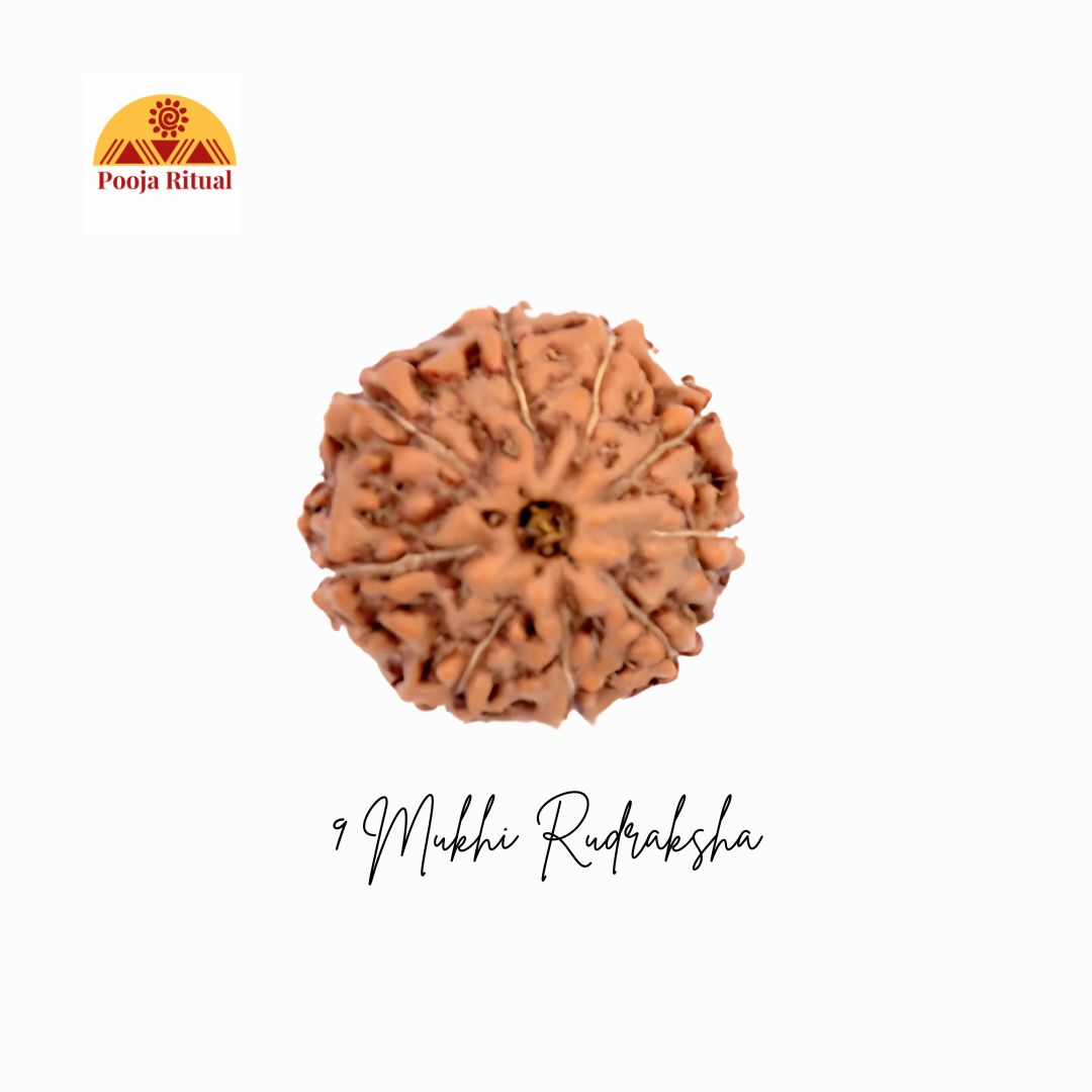 9 Mukhi Rudraksha Bead – Nav Durga’s Blessings & Ketu Protection