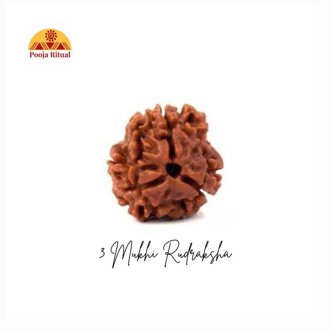 3 Mukhi Rudraksha Bead (Indonesian) – Agni Deva’s Blessings for Purification & New Beginnings