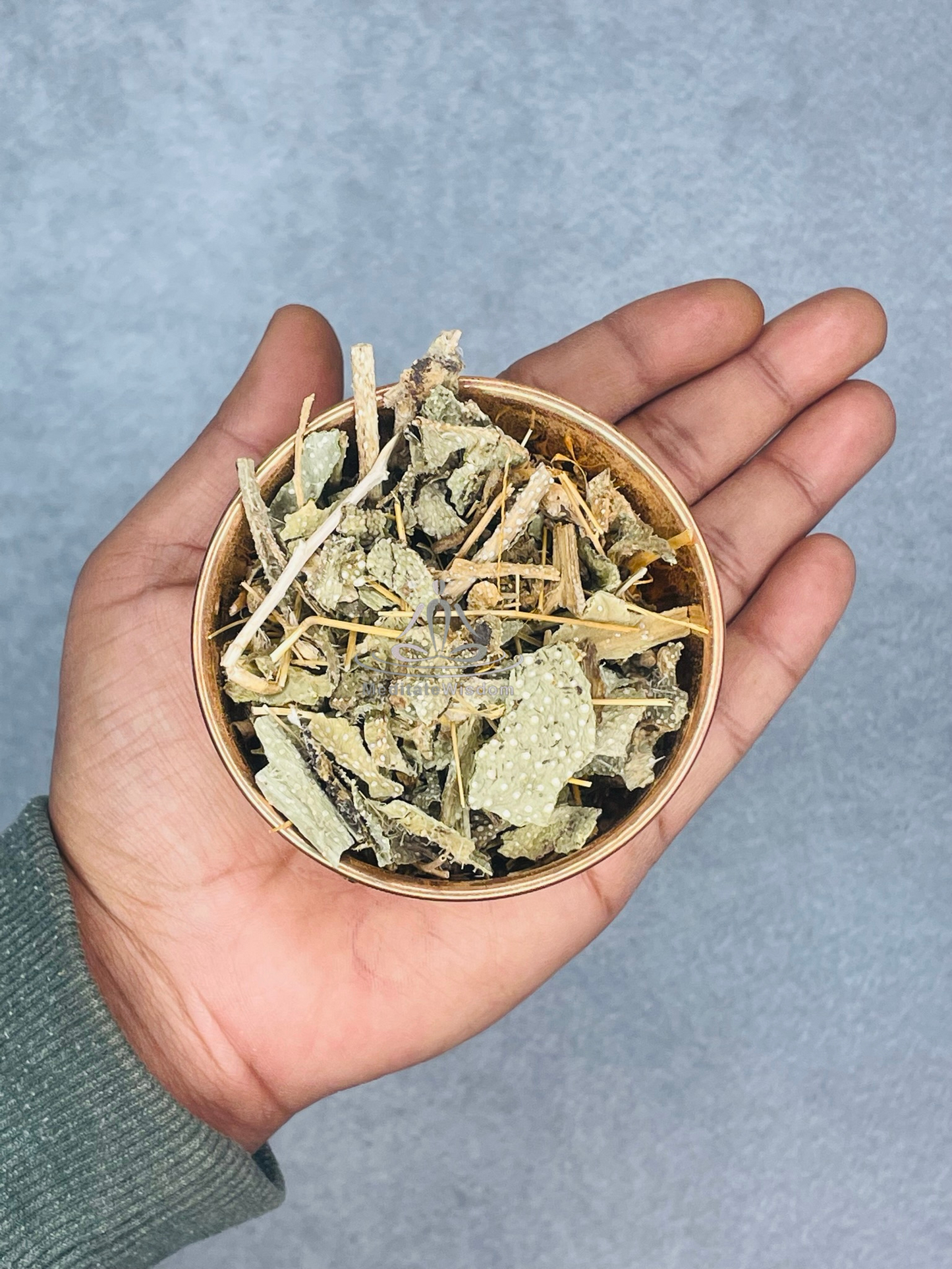 Stinging Nettle – Dried Herb