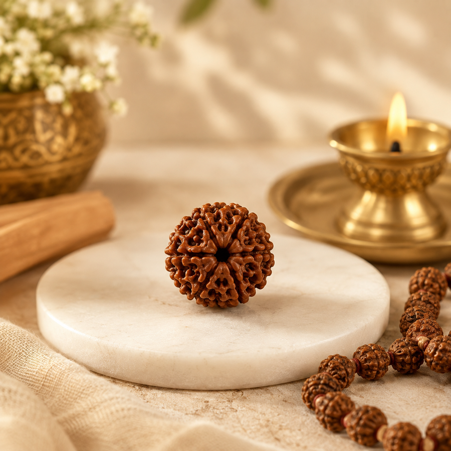 Rudraksha