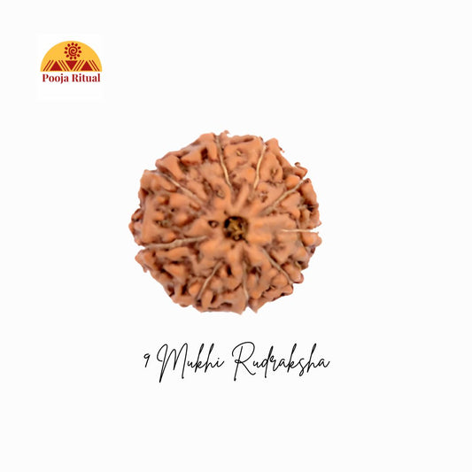 9 Mukhi Rudraksha Bead – Nav Durga’s Blessings &amp; Ketu Protection