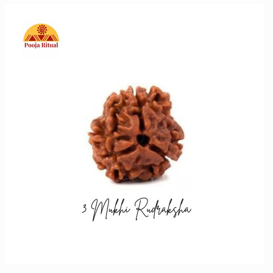 3 Mukhi Rudraksha Bead (Indonesian) – Agni Deva’s Blessings for Purification &amp; New Beginnings