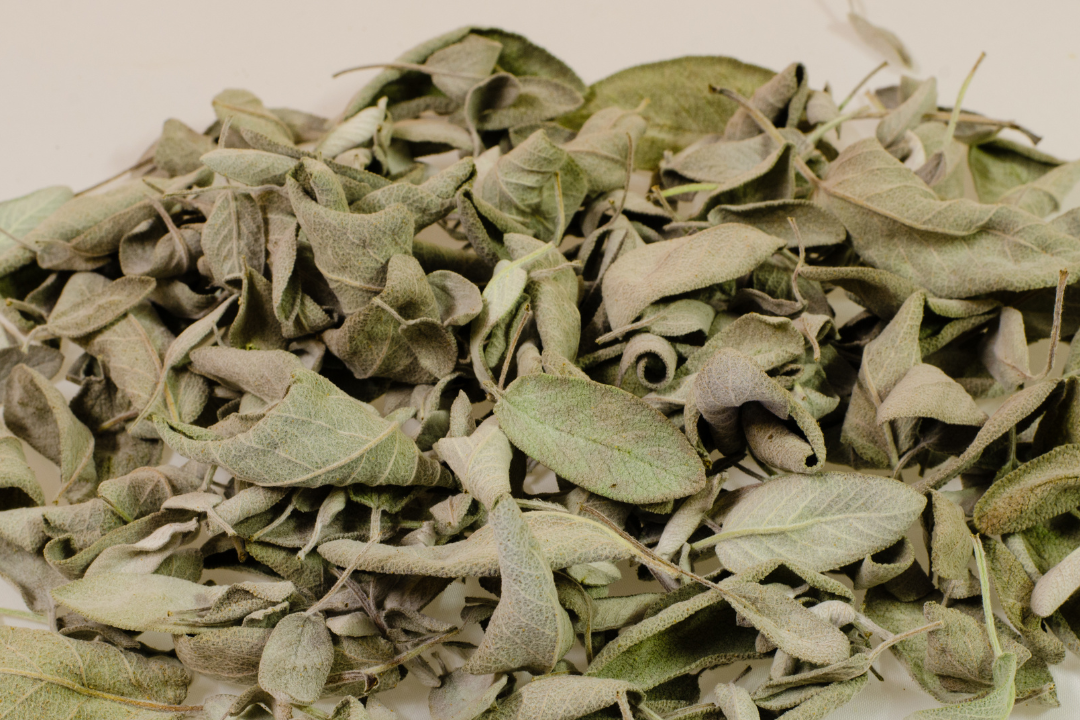 Dried Sage for Ritual