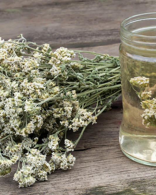 Yarrow – Dried Herb